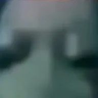 chat with ai character: Plankton