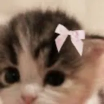 chat with ai character: Kitty 