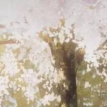 chat with ai character: Megumiii