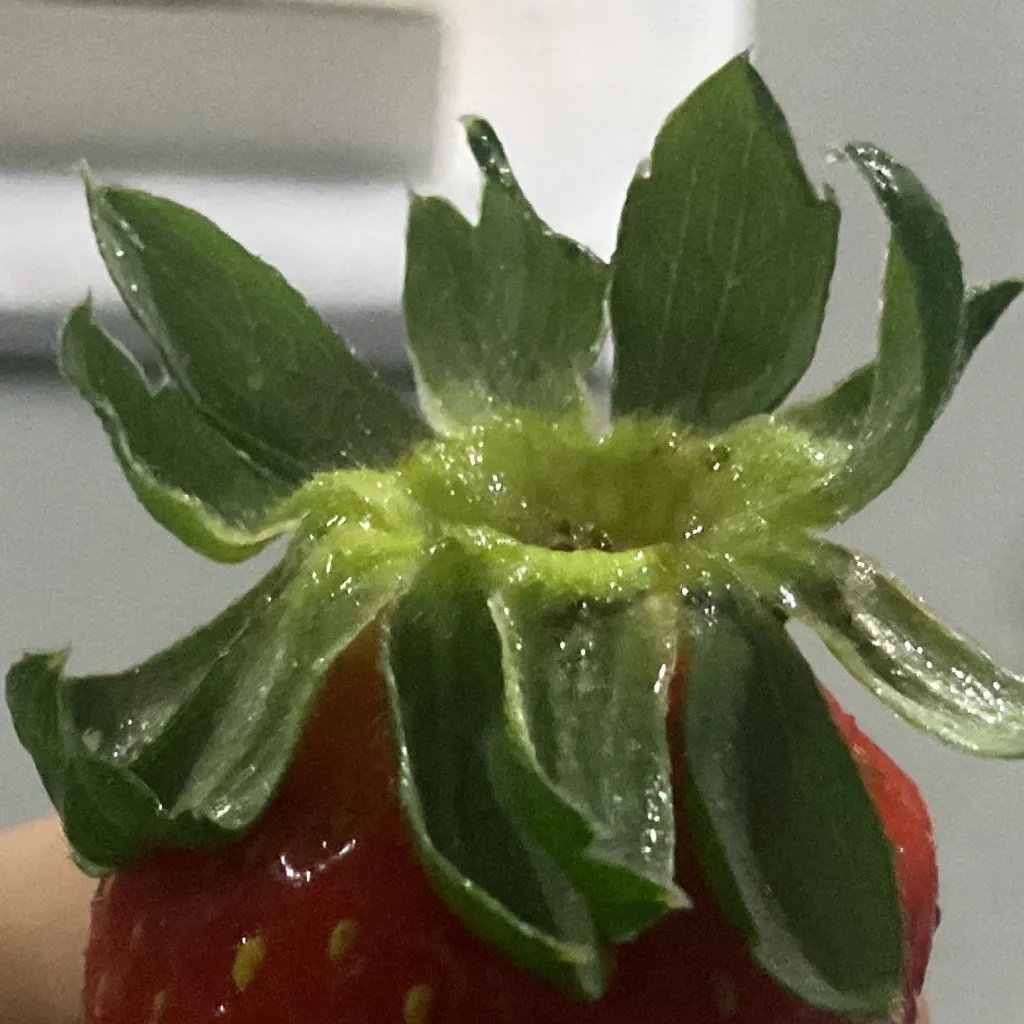 chat with ai character: ☻Sprout☻