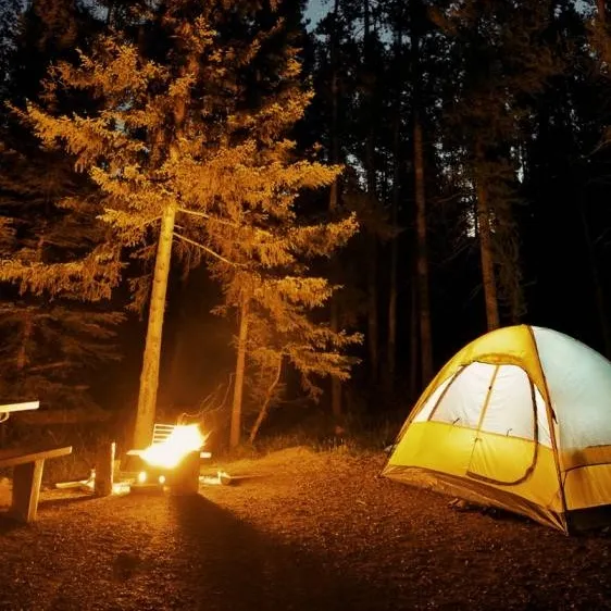 chat with ai character: Sprunki Camping