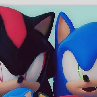 chat with ai character: Sonic + Shadow