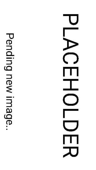 ai character: code helper background