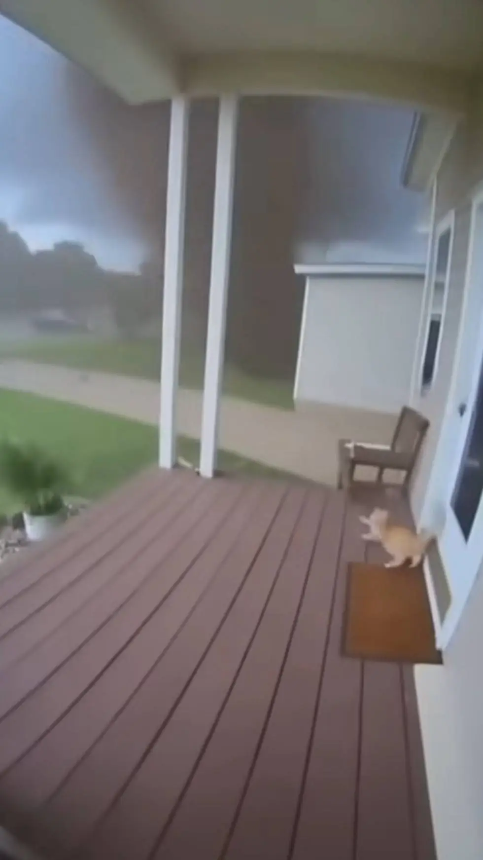 ai character: ♡_-heat-_♥︎ background