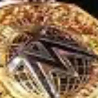 chat with ai character: WWE