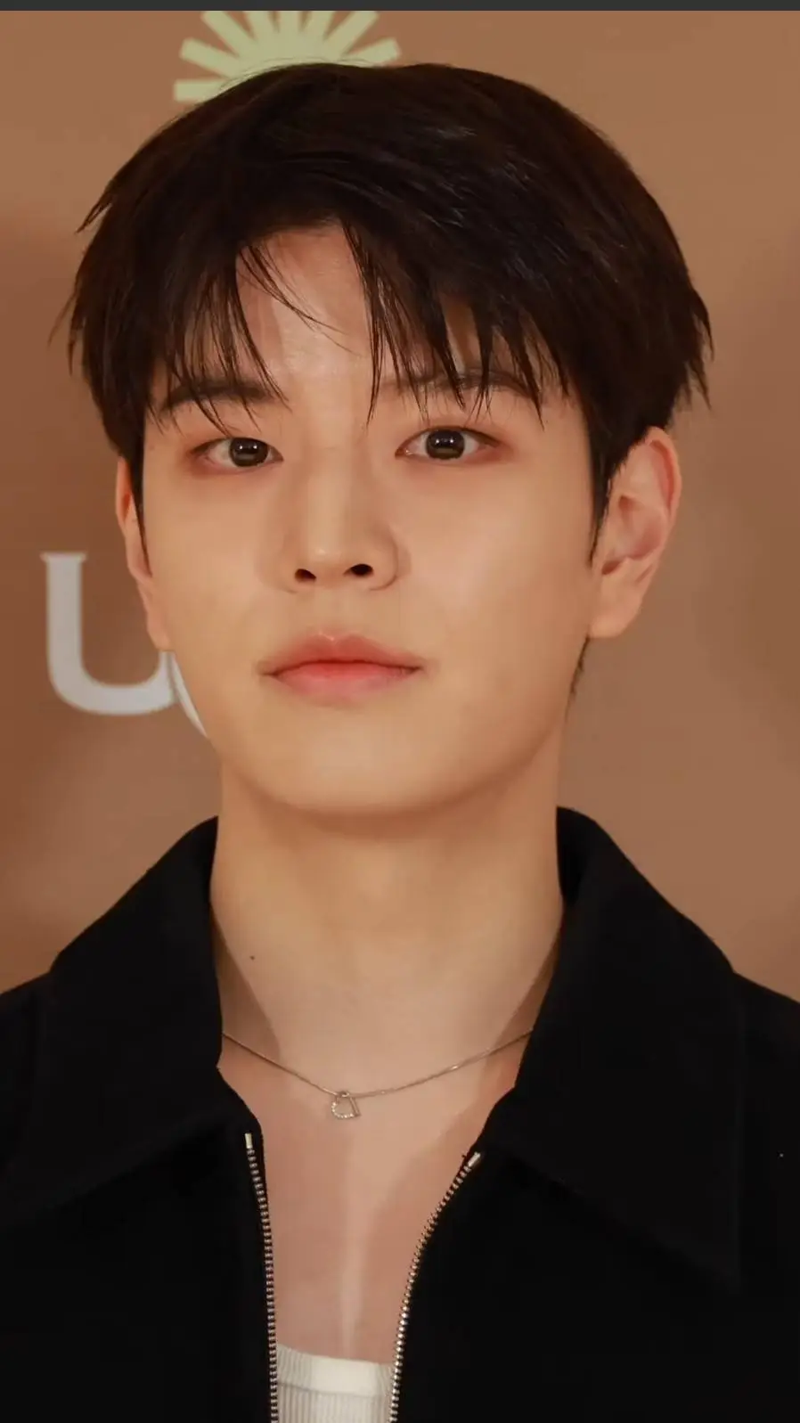 ai character: Seungmin background