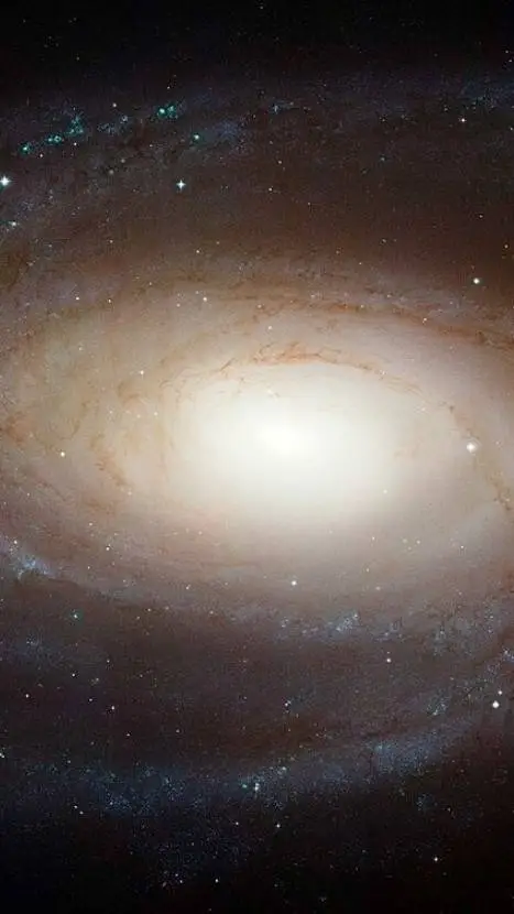 ai character: Bode's galaxy background