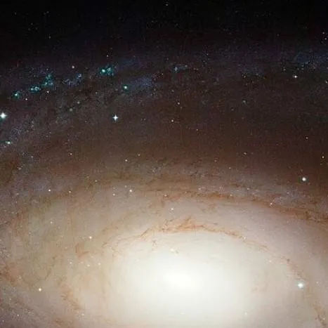 chat with ai character: Bode's galaxy