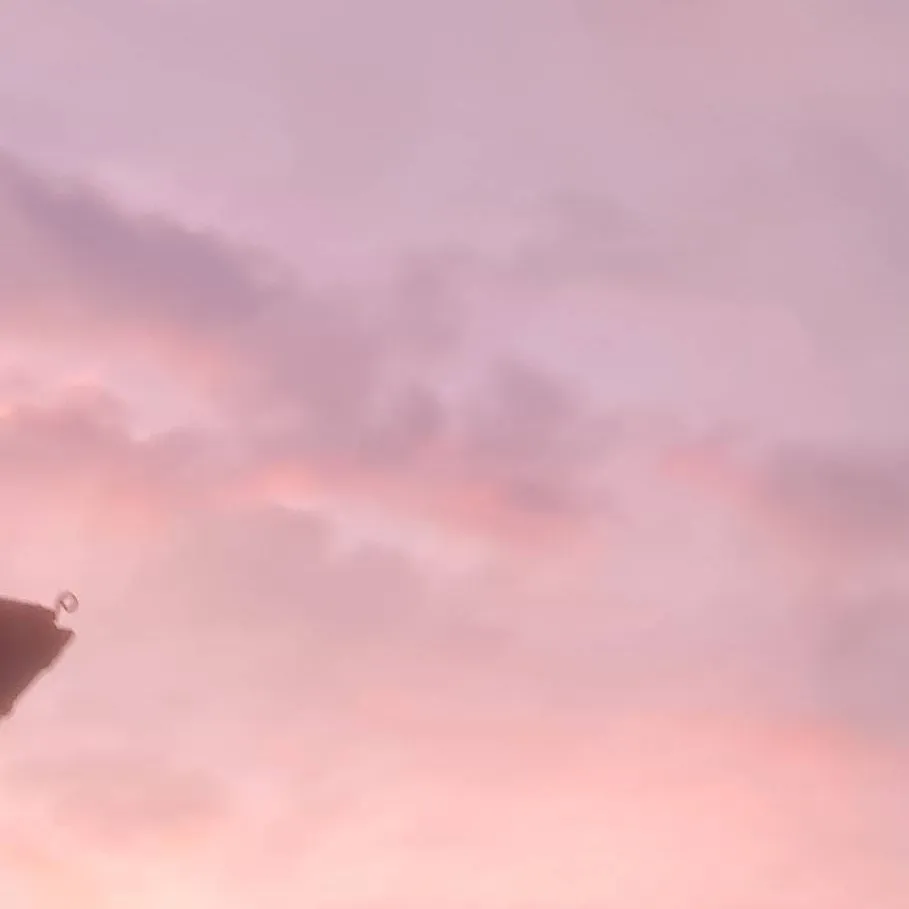 chat with ai character: MHA x Your Story