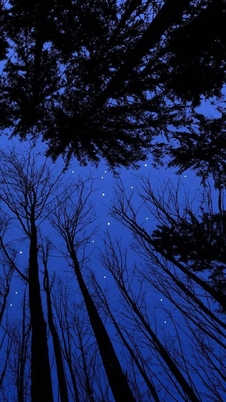 ai character: MHA x Your story background