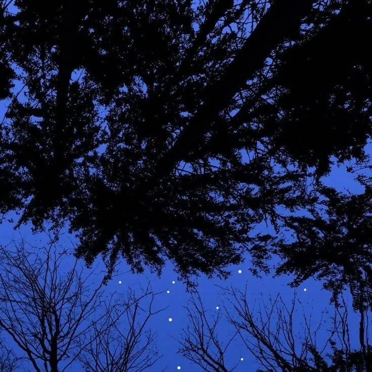 chat with ai character: MHA x Your story