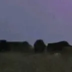 chat with ai character: MHA X your story