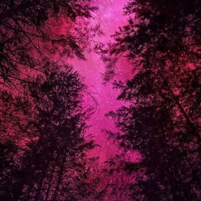 chat with ai character: MHA x Your World