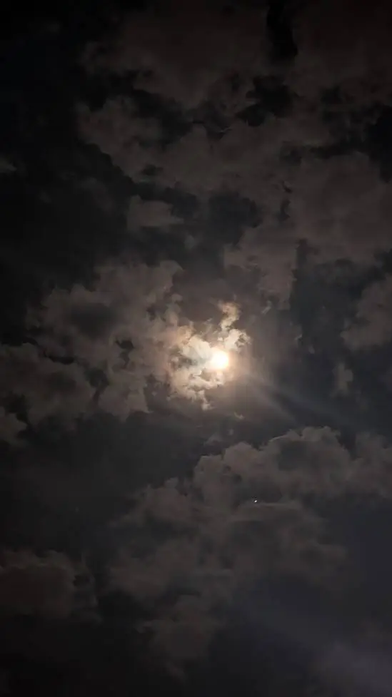 ai character: MHA x Your story background