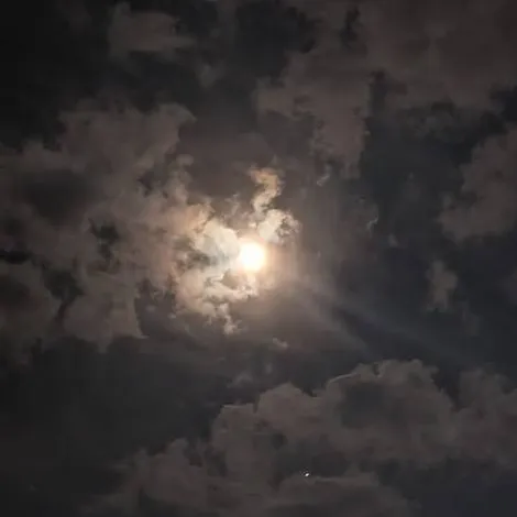 chat with ai character: MHA x Your story