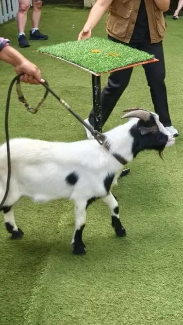 ai character: Billy background