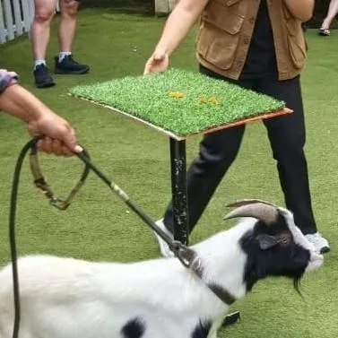 chat with ai character: Billy