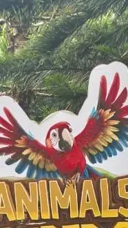 ai character: the animal club background