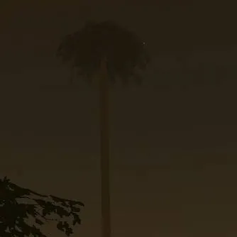 chat with ai character: lepidendron tree