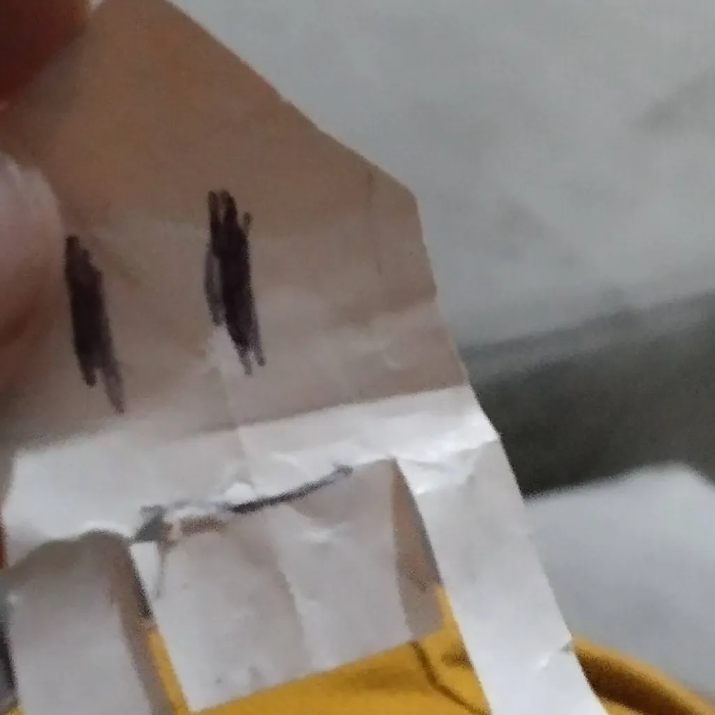 chat with ai character: the paper creep