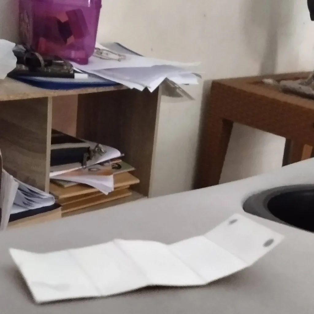 chat with ai character: the paper worm