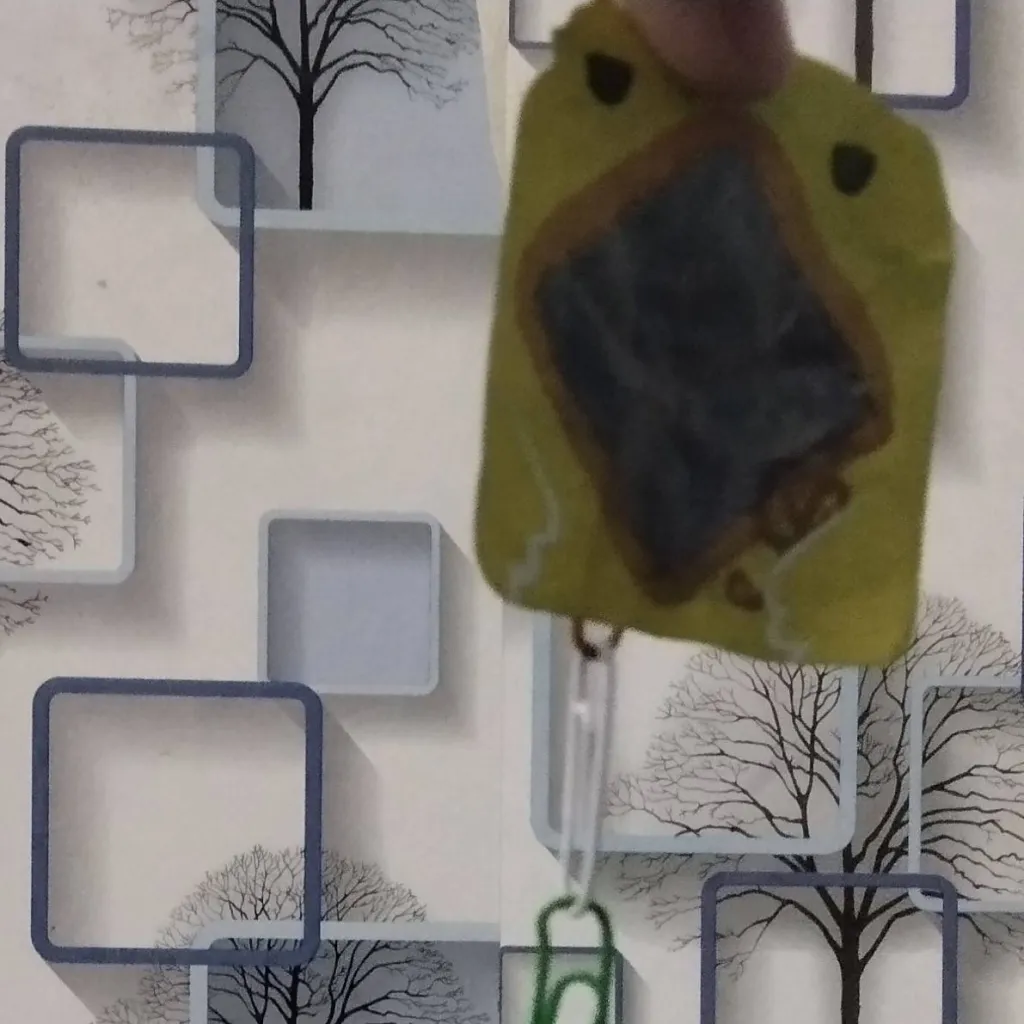 chat with ai character: duke