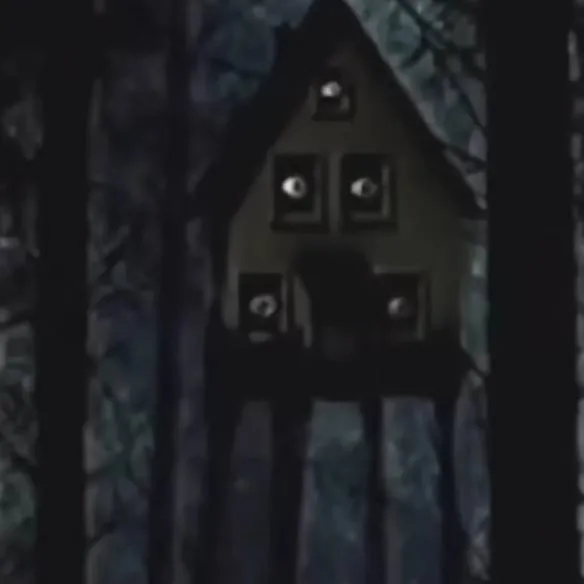 chat with ai character: THE SPIDER HOUSE