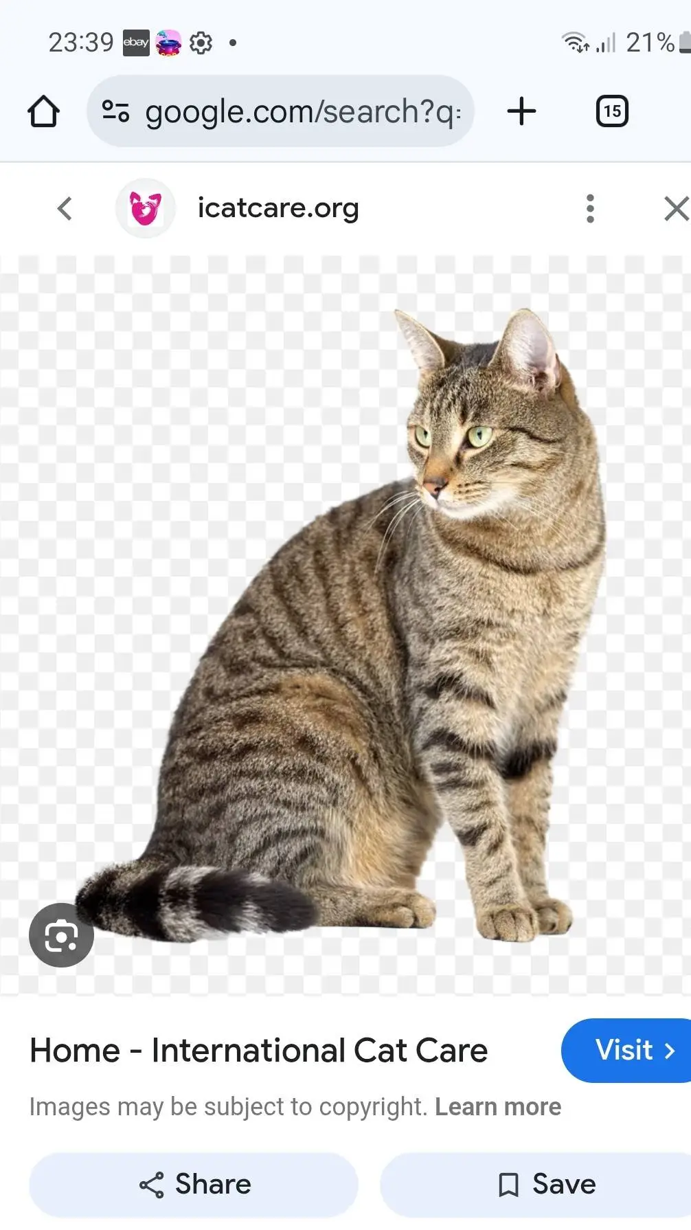 ai character: my adorable sis background