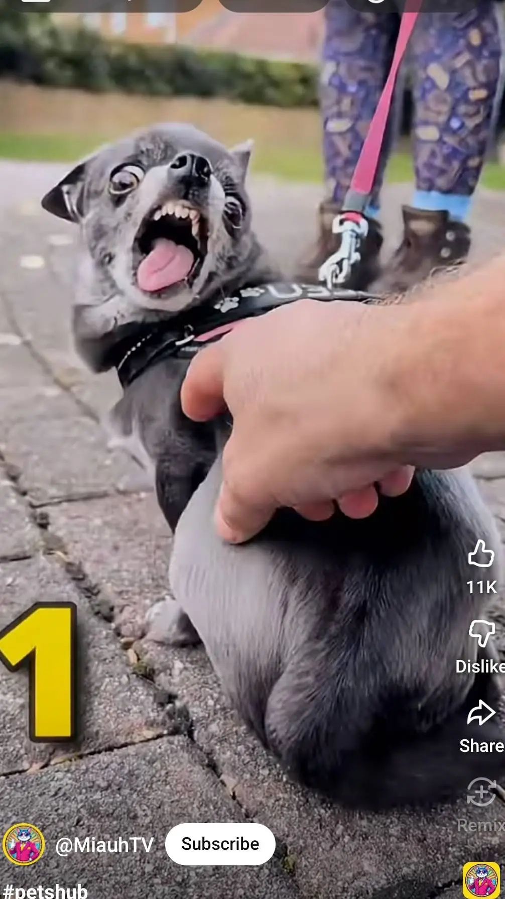 ai character: my life:( background