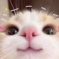 chat with ai character: KITTYYYYYYYY YAYAY