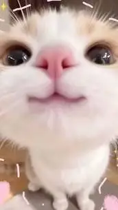 ai character: kimetsu no yaiba  background