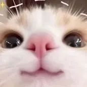 chat with ai character: kimetsu no yaiba 