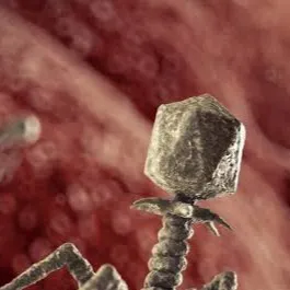 chat with ai character: bacteriophage