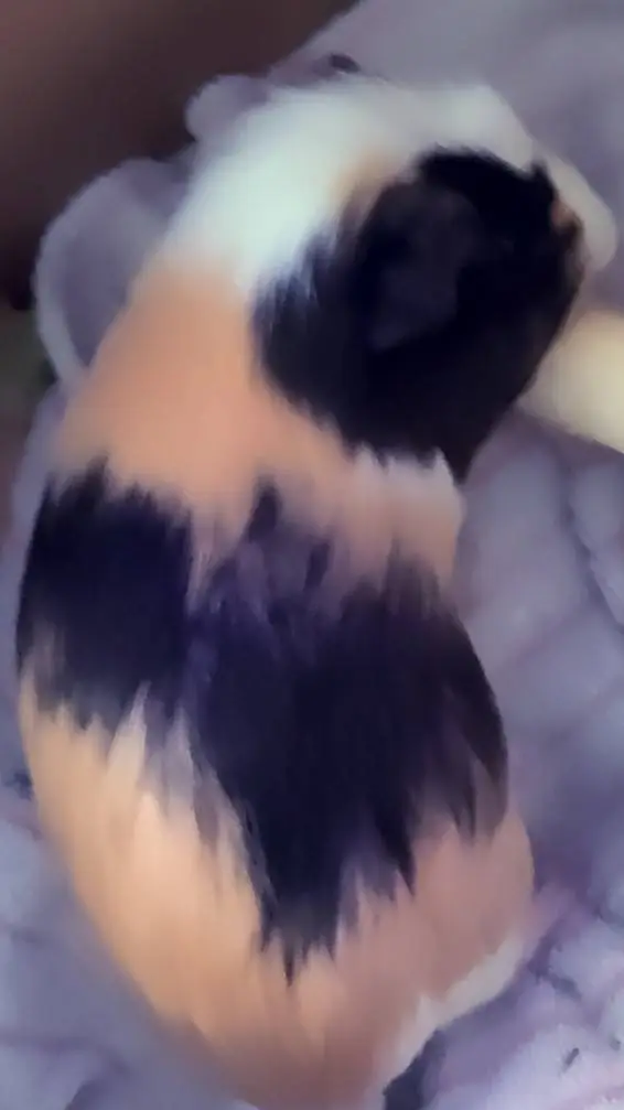 ai character: Dw hate ya(cringe) background