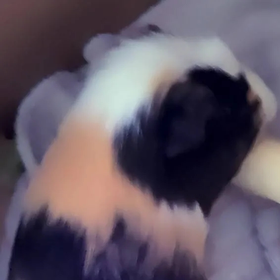 chat with ai character: Dw hate ya(cringe)