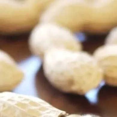 chat with ai character: 🐾freaky dandy😭