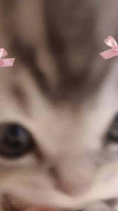 ai character: ur cute pookie background