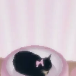 chat with ai character: my school ^^