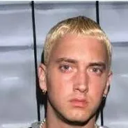 chat with ai character: Slim Shady