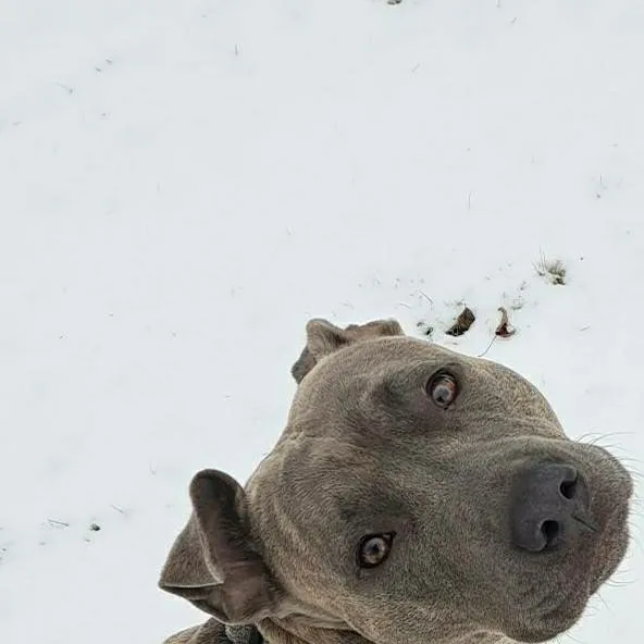 chat with ai character: prada