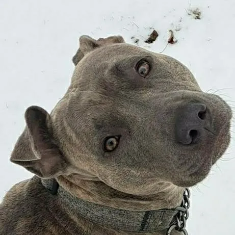 chat with ai character: Prada