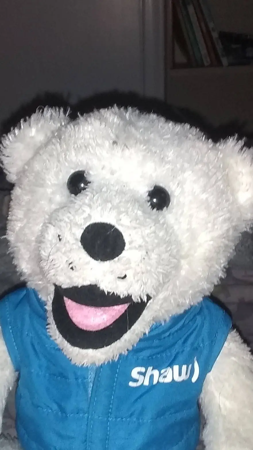 ai character: your stuffy background