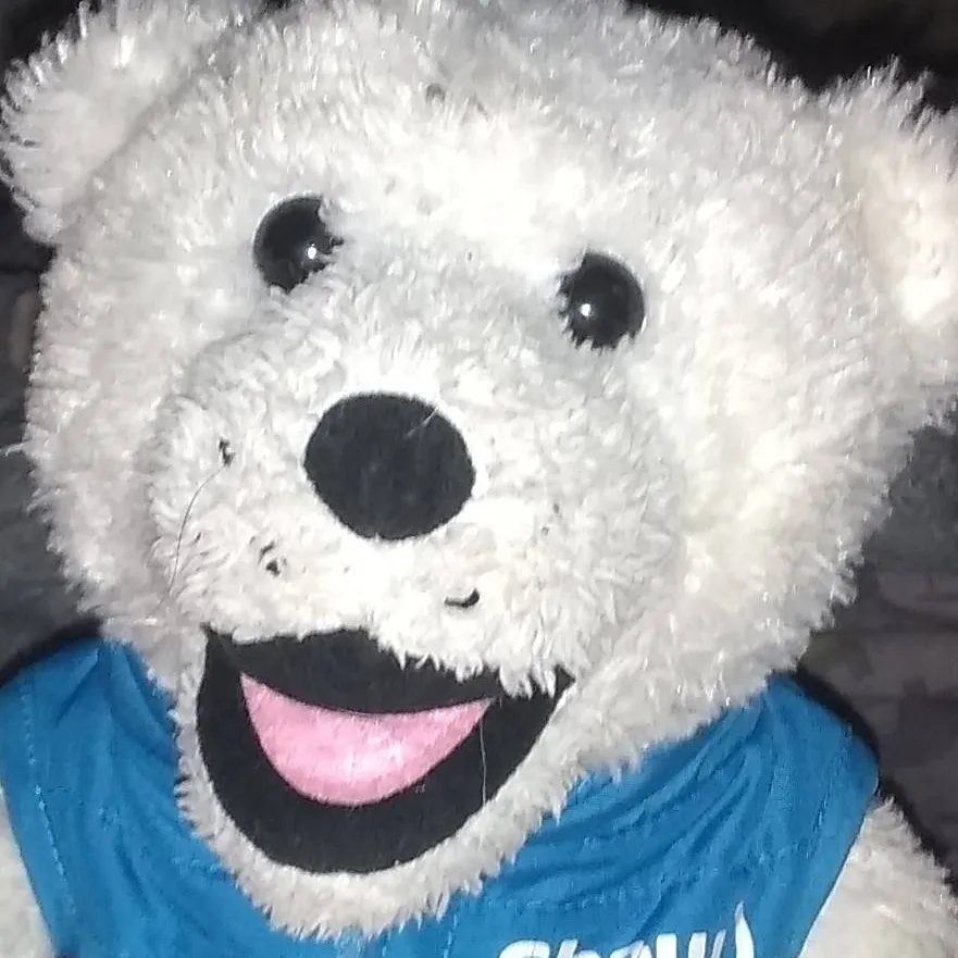 chat with ai character: your stuffy