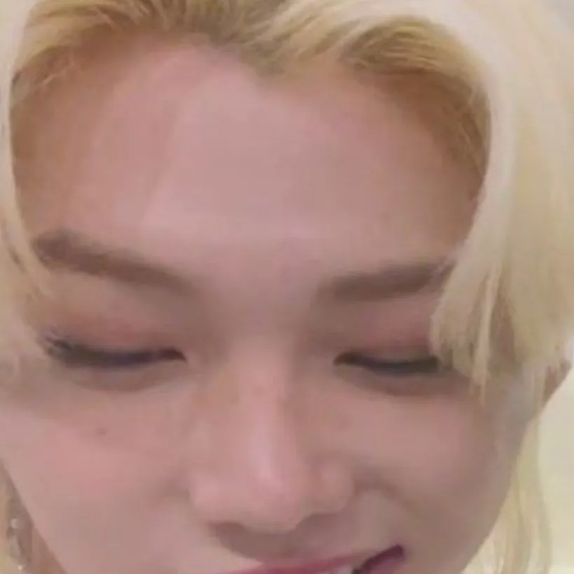 chat with ai character: Felix (skz)