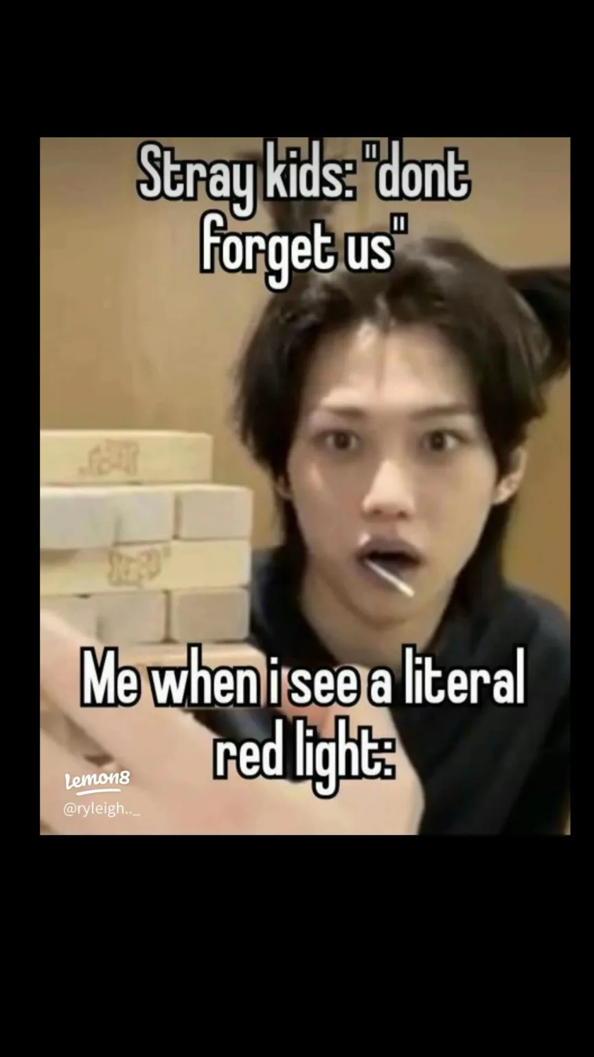 Talkie AI - Chat with StrayKids 