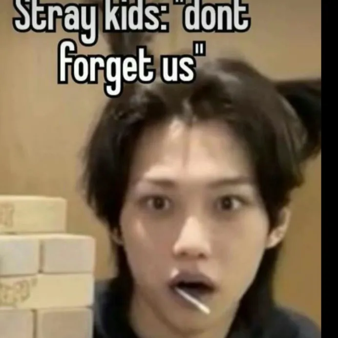 chat with ai character: StrayKids 