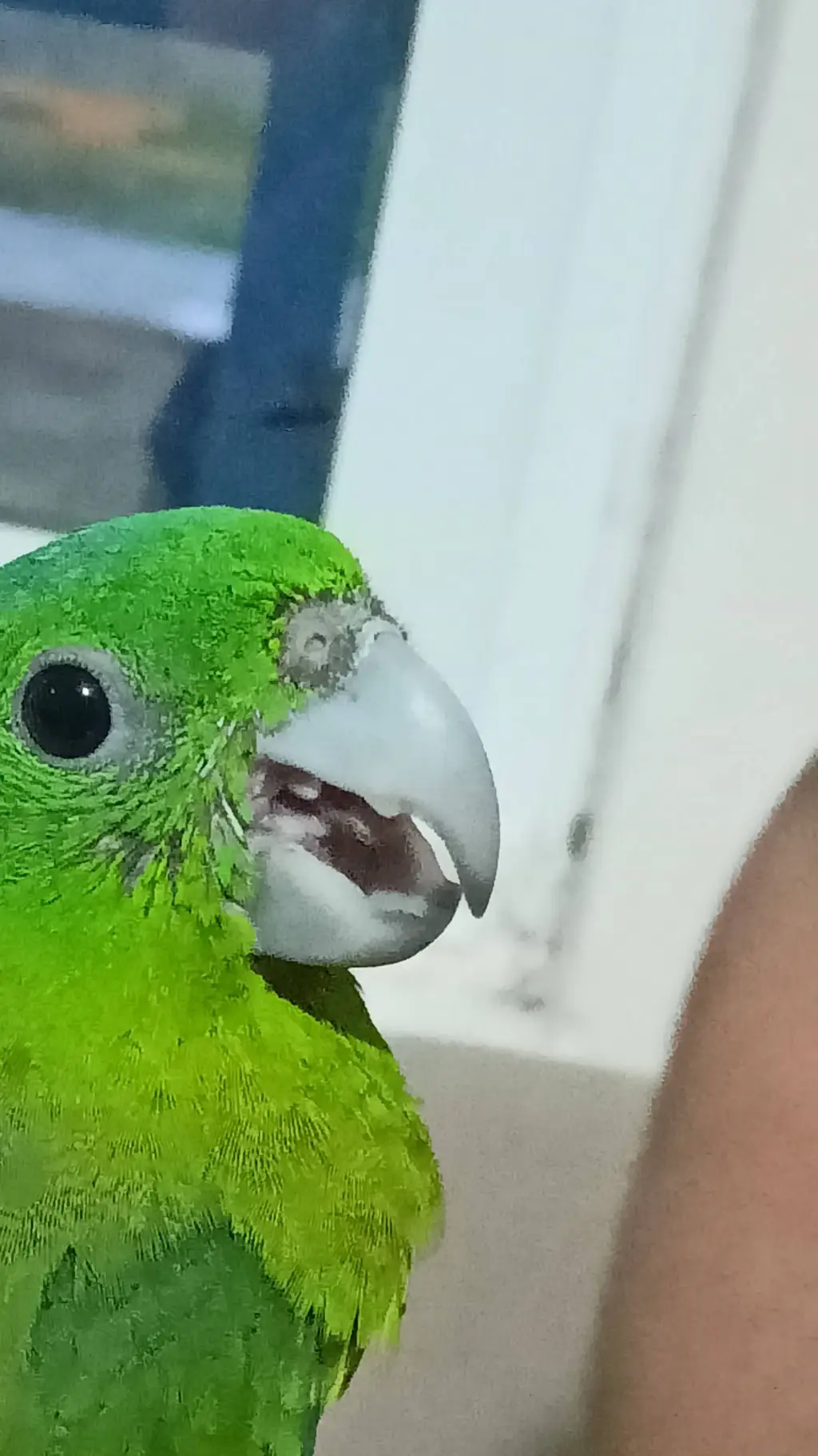 ai character: parpar bird background