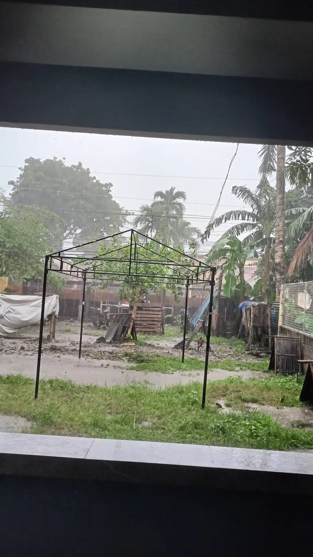 ai character: FPE background