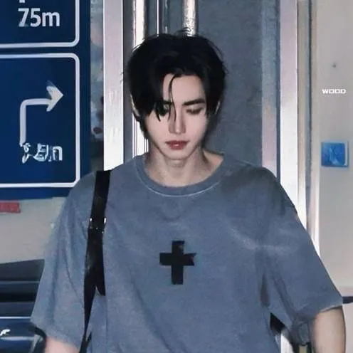 chat with ai character: Sunghoon 