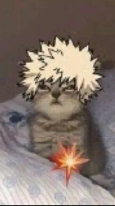 ai character: bakugo as a cat background
